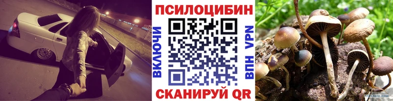Купить закладки  Карталы  Псилоцибиновые грибы Psilocybine cubensis 