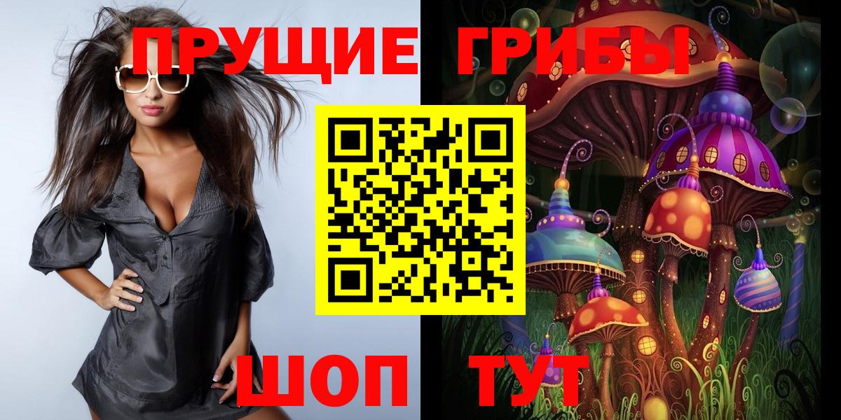 Галлюциногенные грибы Psilocybine cubensis  Карталы 