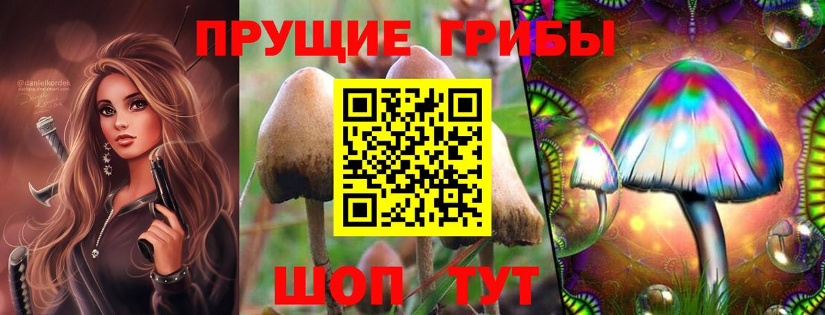 Галлюциногенные грибы MAGIC MUSHROOMS  Псилоцибиновые грибы GOLDEN TEACHER  Вход с VPN  даркнет сайт  Карталы 